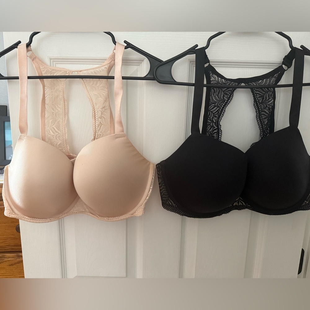 Paramour Bras